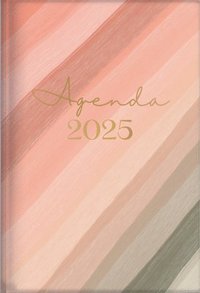 bokomslag The Treasure of Wisdom - 2025 Daily Agenda - Pinks Palette: A Daily Calendar, Schedule, and Appointment Book with an Inspirational Quotation or Bible