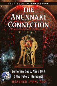 bokomslag The Anunnaki Connection