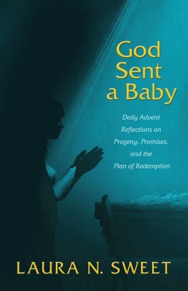Laura N. Sweet - GOD SENT A BABY, Häftad