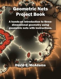 bokomslag Geometric Nets Project Book