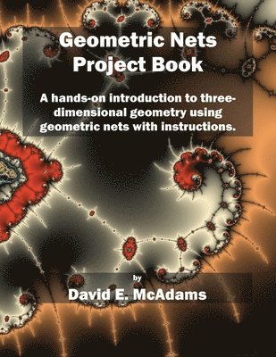 David E McAdams, David E. McAdams, E McAdams, David - Geometric Nets Project Book, Häftad
