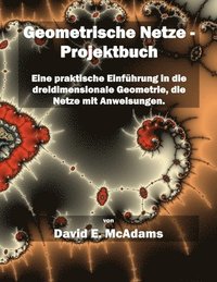 bokomslag Geometrische Netze - Projektbuch