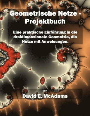 David E McAdams, David E. McAdams - Geometrische Netze - Projektbuch, Häftad