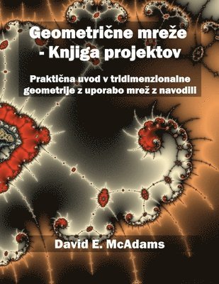 David E McAdams, David E. McAdams, E. McAdams, David - Geometrične mreze - Knjiga projektov, Häftad