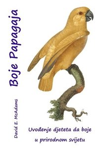 bokomslag Boje Papagaja