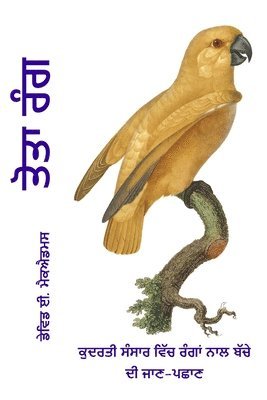 David E McAdams, David E. McAdams - ਤੋਤਾ ਰੰਗ, Häftad