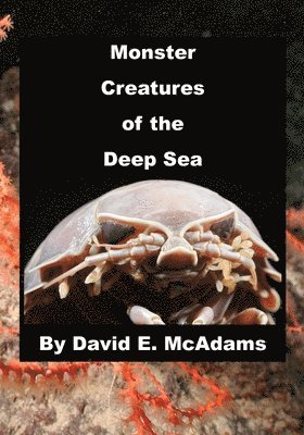 bokomslag Monster Creatures of the Deep Sea