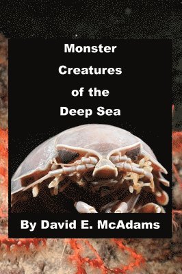 bokomslag Monster Creatures of the Deep Sea