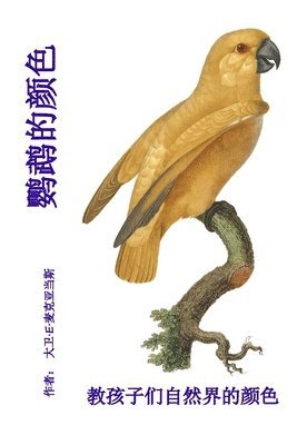 鹦鹉的颜色