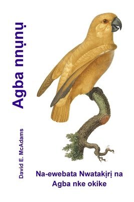 bokomslag Agba nn?n?