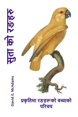सुता को रङहरु