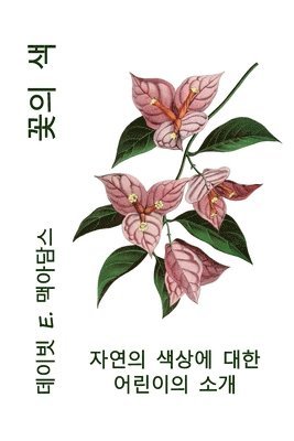꽃의 색