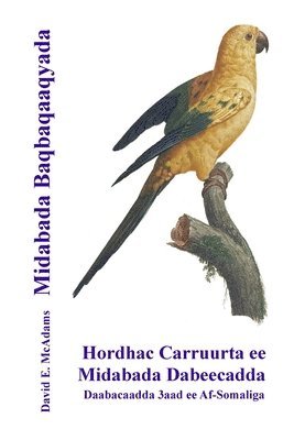 Midabada Baqbaqaaqyada