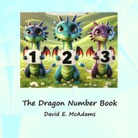 bokomslag Dragon Number Book
