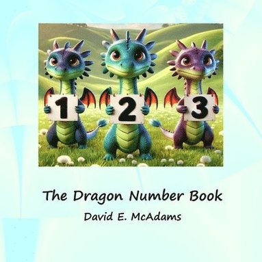 bokomslag Dragon Number Book