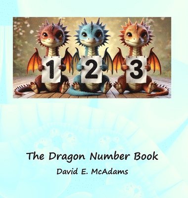 bokomslag Dragon Number Book