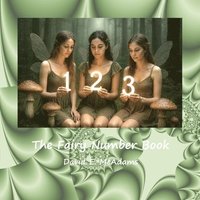 bokomslag Fairy Number Book