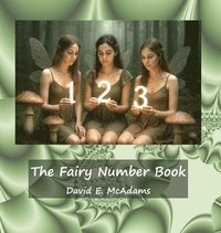 bokomslag Fairy Number Book