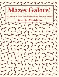 bokomslag Mazes Galore!