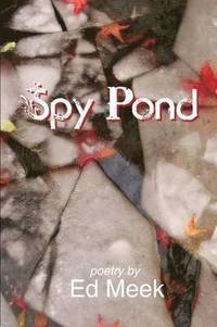 bokomslag Spy Pond