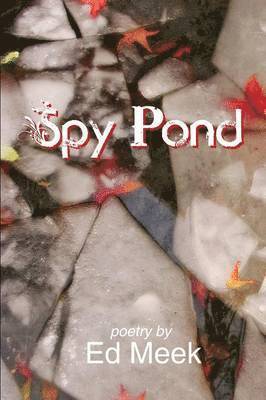 Spy Pond 1