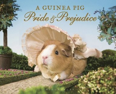 Jane Austen, Alex Goodwin - A Guinea Pig Pride & Prejudice, Inbunden