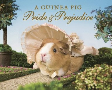 bokomslag A Guinea Pig Pride & Prejudice