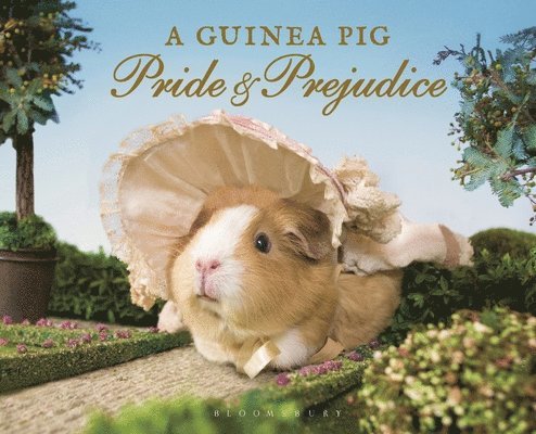 A Guinea Pig Pride & Prejudice 1