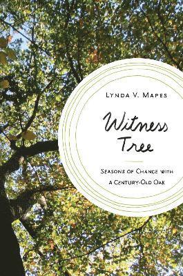 Witness Tree 1