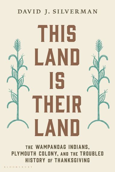 David J. Silverman - This Land Is Their Land, Häftad