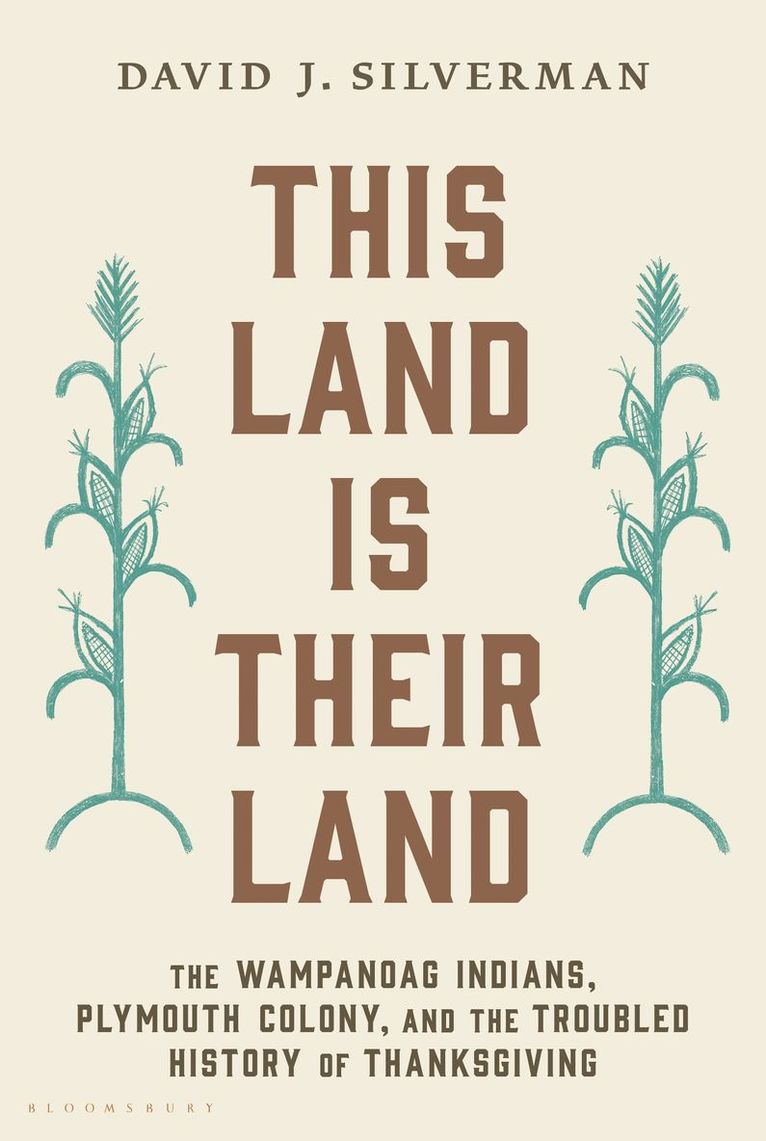 David J. Silverman, David J Silverman - This Land Is Their Land, Häftad