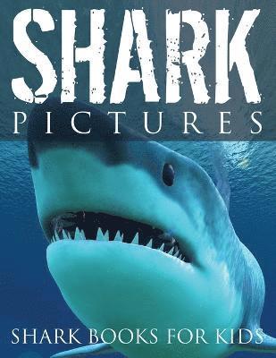 bokomslag Shark Pictures (Shark Books for Kids)