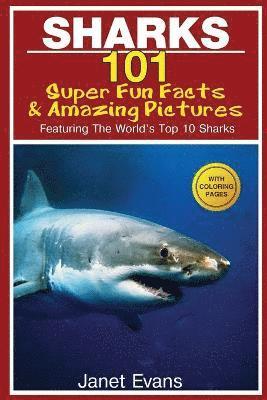 bokomslag Sharks