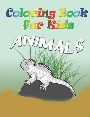 bokomslag Coloring Book for Kids