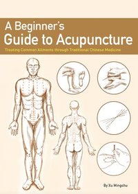 bokomslag A Beginner's Guide to Acupuncture: Treating Common Ailments Through Traditional Chinese Medicine