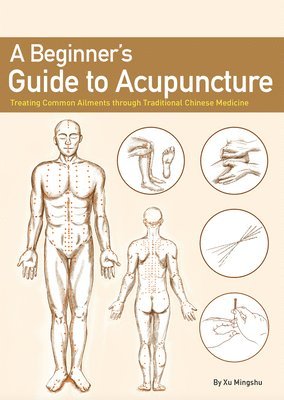 A Beginner's Guide to Acupuncture: Treating Common Ailments Through Traditional Chinese Medicine 1