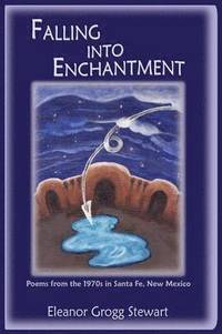 bokomslag Falling Into Enchantment