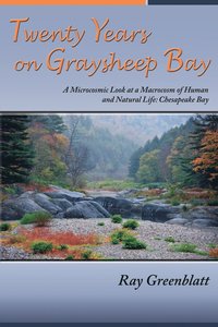 bokomslag Twenty Years on Graysheep Bay