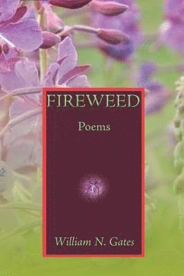 Fireweed 1