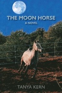 bokomslag Moon Horse