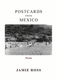 bokomslag Postcards from Mexico