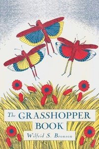 bokomslag The Grasshopper Book
