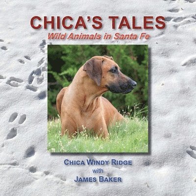 James Baker - Chica's Tales, Wild Animals in Santa Fe, Häftad
