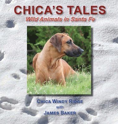 James Baker - Chica's Tales, Inbunden