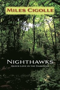bokomslag Nighthawks: Queer Love in the Darkness