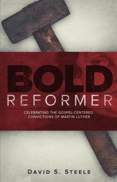 bokomslag Bold Reformer