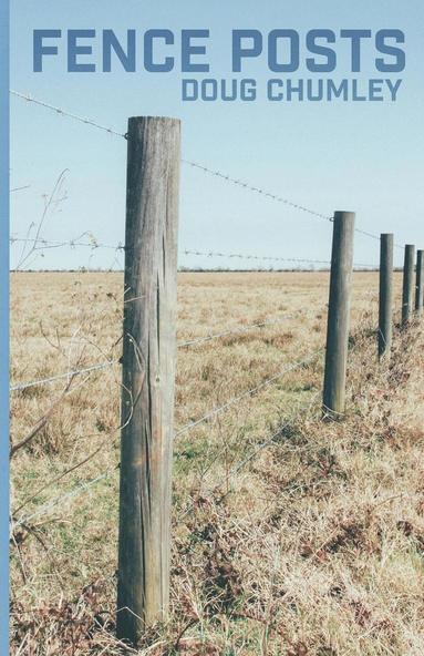 bokomslag Fence Posts