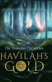 bokomslag Havilah's Gold