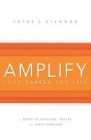 bokomslag Amplify Your Career and Life