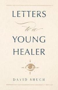 bokomslag Letters to a Young Healer